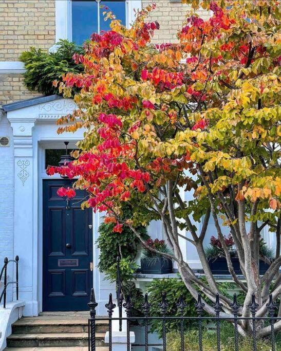 Chelsea Posh Apartment Londra Dış mekan fotoğraf